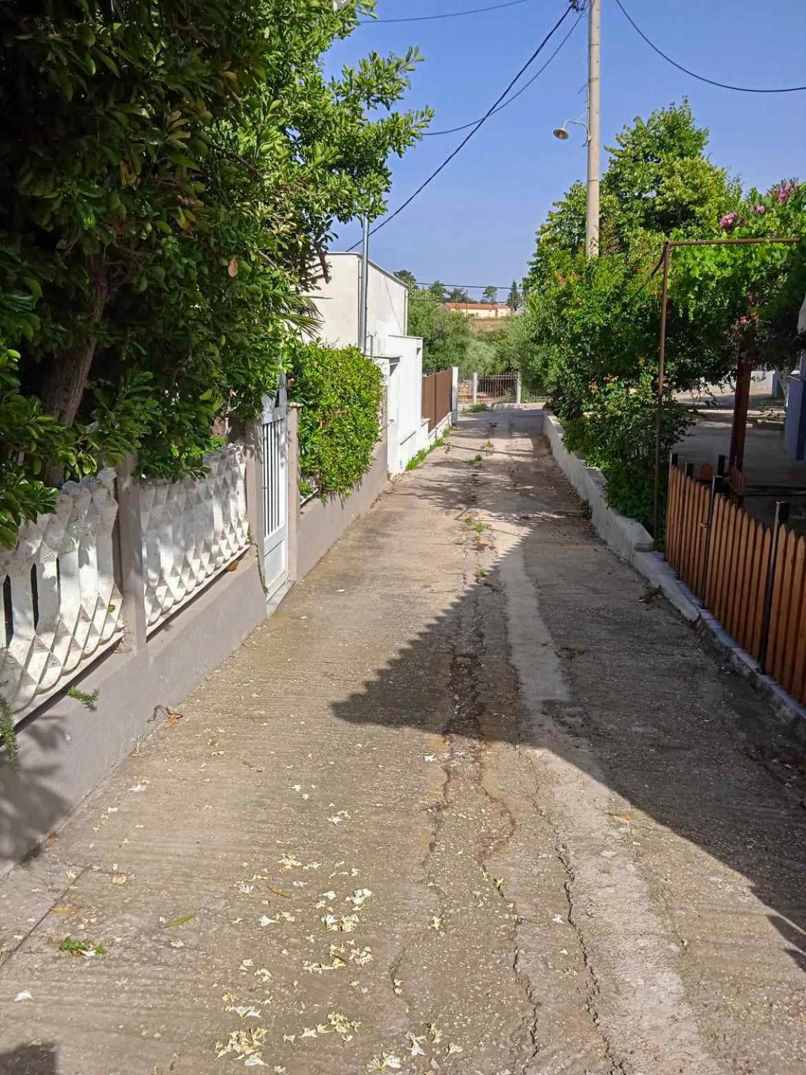 Κυανή Ακτή - Agia Paraskevi Mákri Kültér fotó