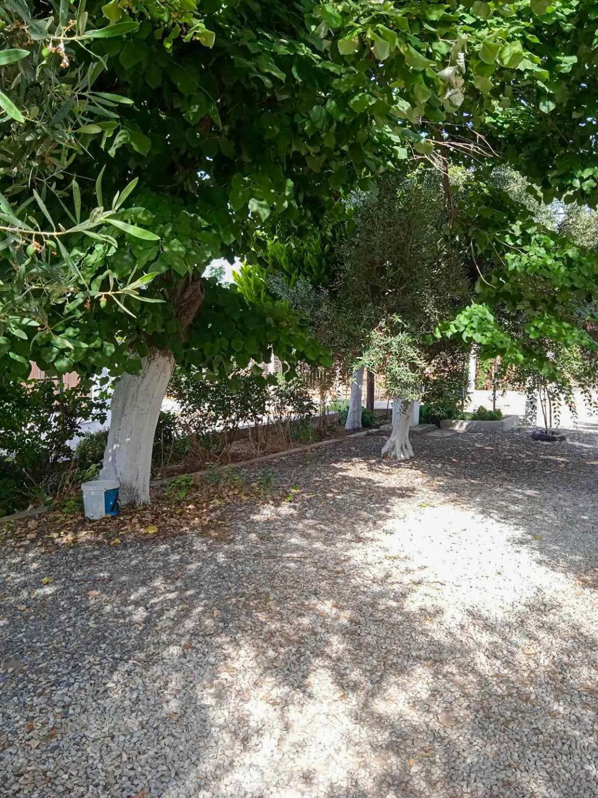 Κυανή Ακτή - Agia Paraskevi Mákri Kültér fotó
