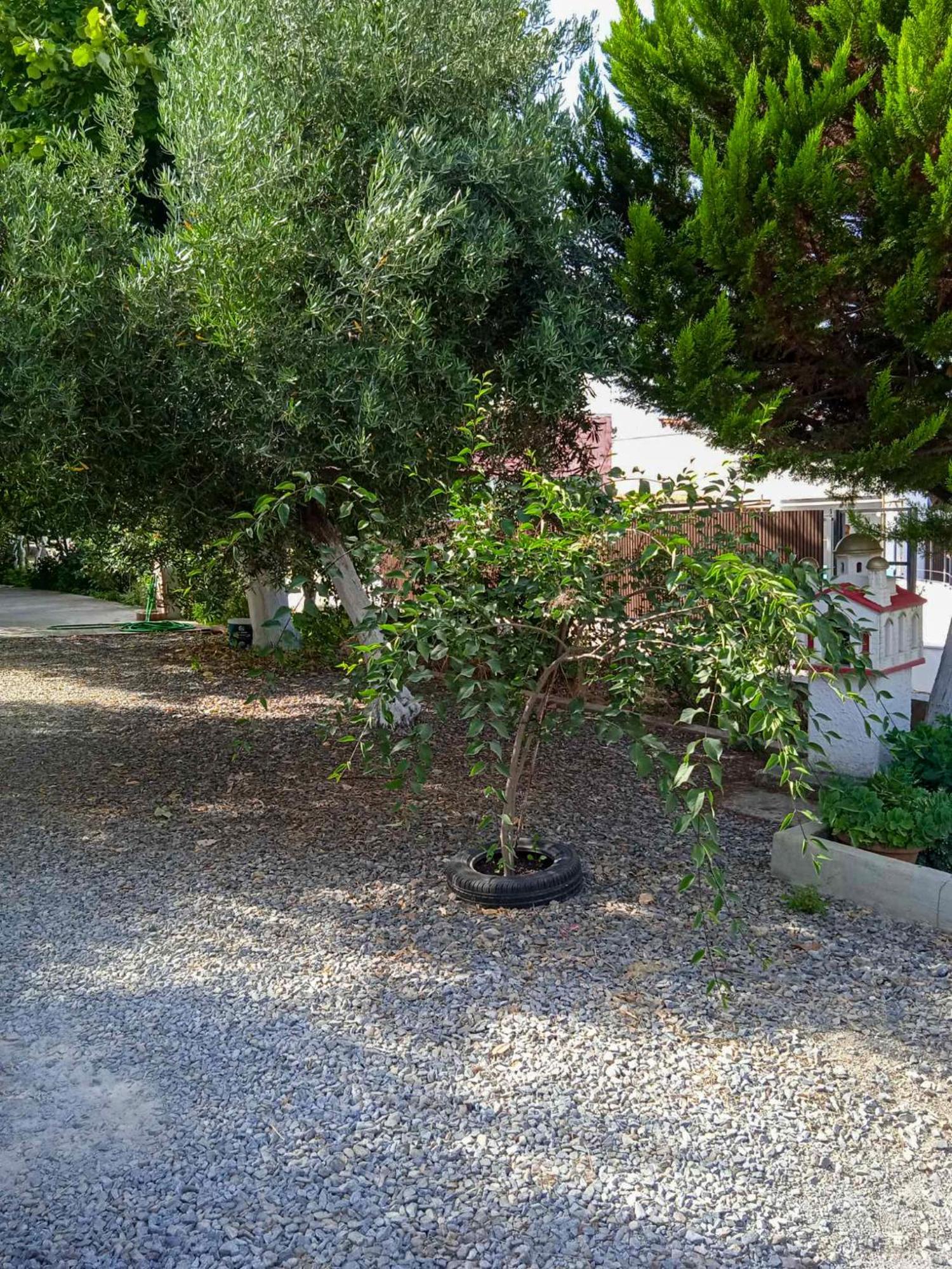 Κυανή Ακτή - Agia Paraskevi Mákri Kültér fotó